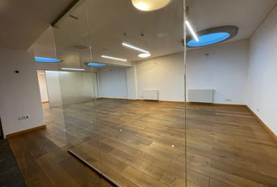 Vanzare Vila Exclusivista Aviatorilor - 34