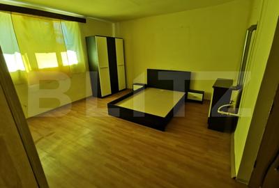 Casa renovabila, 2 camere, zona Cetate - 8