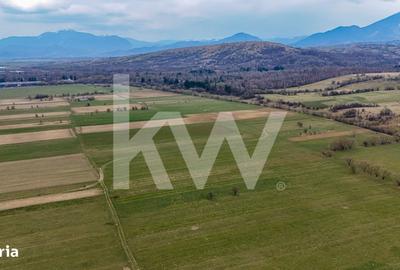 Spațiu comercial, în Plaiul Foii - 2