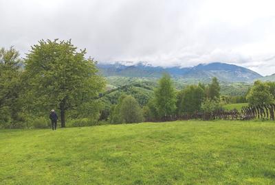 Oportunitate rara! Teren 7.283 mp, investitie garantata - 6