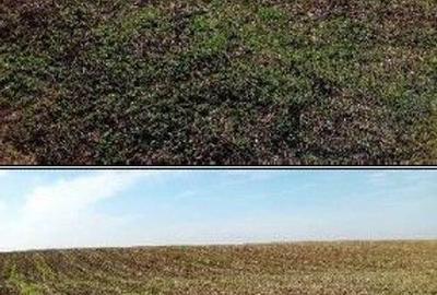 Teren extravilan Barlogu; ID: R2825534 - 6