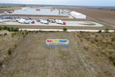 Teren 3000 m.p. Penny Mihailesti - 6