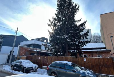 Teren în Baicului - 6