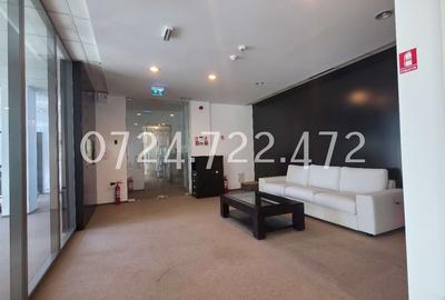 Splaiul Unirii 223, Bucuresti, proprietar - 8