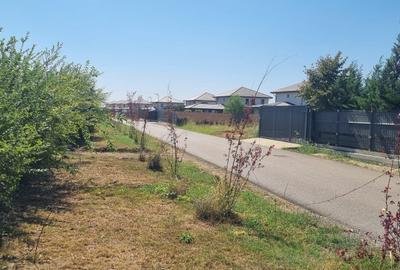 Teren intravilan Balotesti, Complex Good Afternoong - 5