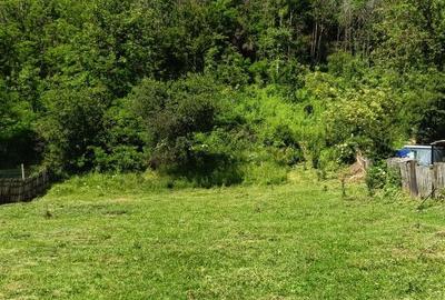 Spațiu comercial, în Valea Siliștii - 2