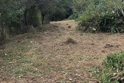 Teren în Geoagiu-Băi - 4