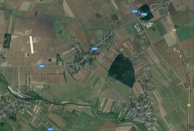 Teren în Balta Doamnei - 4