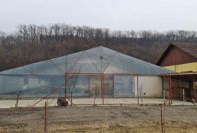 Teren de 10000 mp, în Blăjenii de Jos - 5