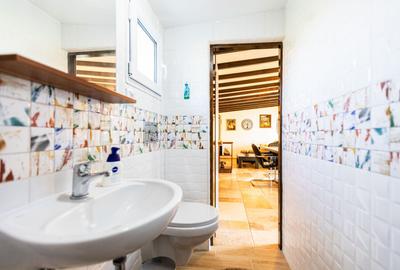 Refugiul Perfect de Lângă Timișoara - 55