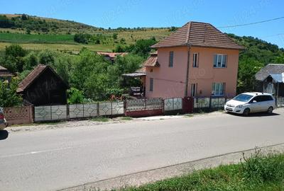 Vand casa cu gradina de legume si curte in Soporu de Campie nr 97A cu CF disponibil - 1