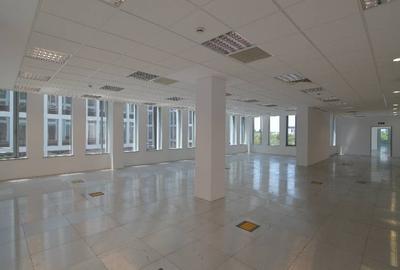 Swan Office Park cladirea Kingston, Nord, 200 - 3500 mp  0% comision! - 14