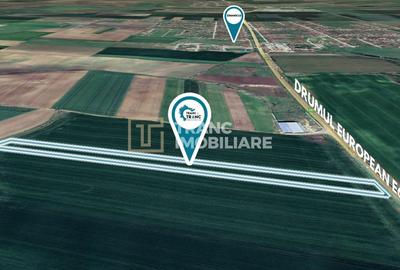 Teren agricol extravilan de 10422 mp, în Zimandcuz - 3