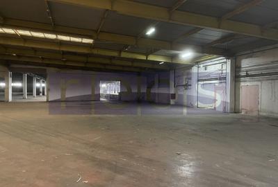 Spațiu industrial, de 19,300 mp, în Odăi - 11