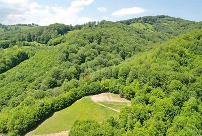 Teren extravilan Via Transilvanica - 19