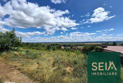 Spațiu comercial, în Fântânele - 3