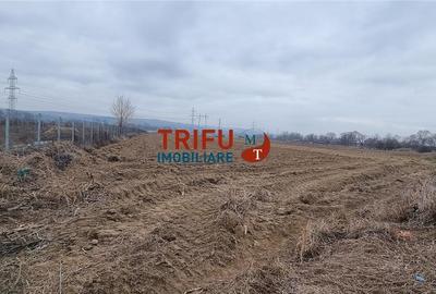 Teren industrial de vanzare 3650 mp in Alba Iulia cu utilitati - 2
