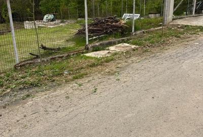 Teren de 570 mp, în Petrăchioaia - 5