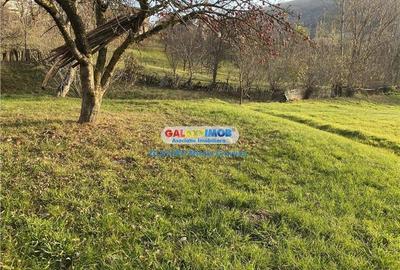 Vanzare teren cu casa batraneasca Secaria Prahova - 4