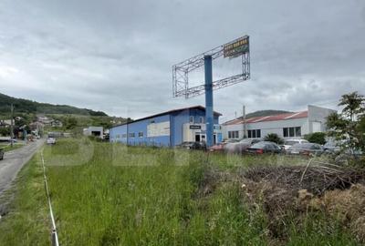 Teren de 1100 mp, în Viișoara - 11