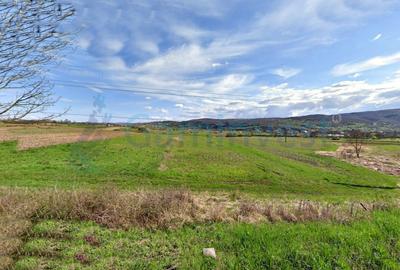 Gaminvest Teren intravilan de vanzare, Vadu Crisului, Bihor,V4238 - 2