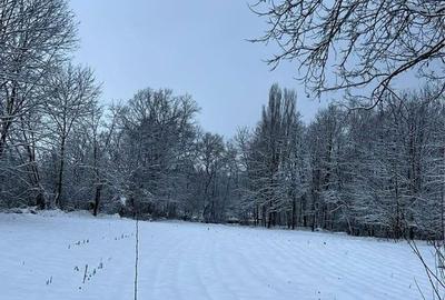 Spațiu comercial, în Borod - 1