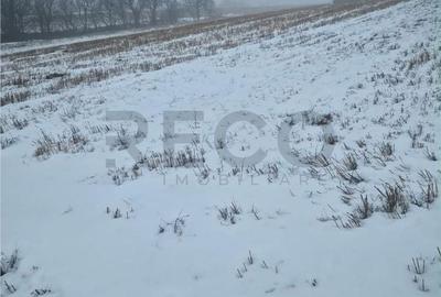 Teren de 17167 mp, în Girișu de Criș - 7