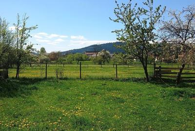 Spațiu comercial, în Central - 1