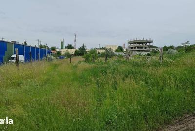 Teren de 10000 mp, în Miroslava - 4