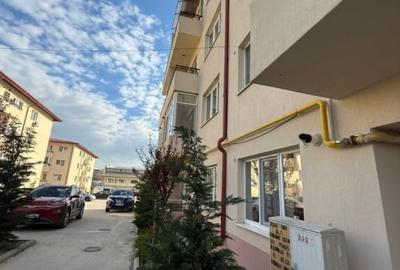 Garsonieră nedecomandată în Valea Lupului - 2