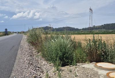 Teren  intre Sanpetru si Harman  la Drumul judetean - 1