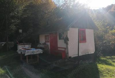 Casă cu 4 camere în Barbura - 9