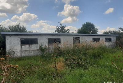 Casă în Mahmudia - 5