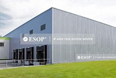 Spațiu comercial, de 5,000 mp, în Chitila - 2