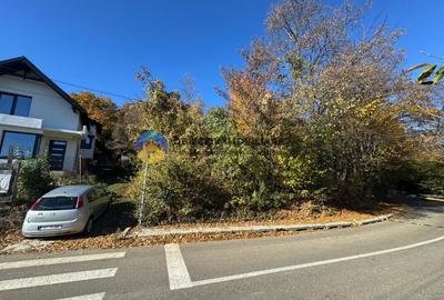 Teren intravilan de vanzare - Piatra Neamt Teren intravilan de vanzare - Piatra Neamt - 10