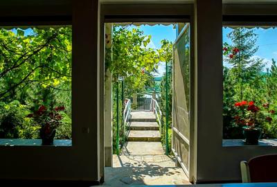 Proprietate unică pe malul lacului Moacșa – liniște, rafinament, eleganta - 41