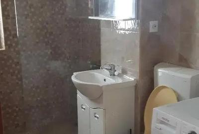 Garsonieră în Șagului