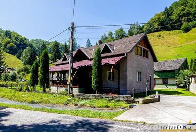 Case si teren generos de 9400 mp in Dambovicioara, Arges - 20