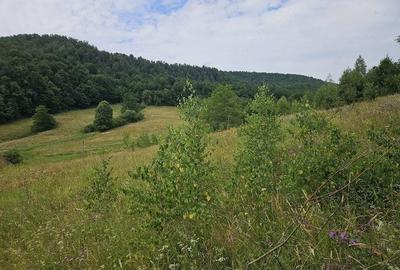 Teren de 5500 mp, în Hurez - 1