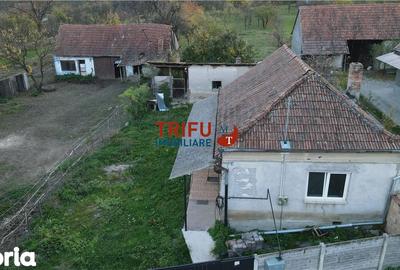 Casă cu 2 camere cu Teren 1534 Mp în Cricău - 5