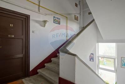 Comision zero! Apartament decomandat str Lunii - 3