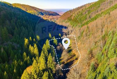 Teren Construcții intravilan de 17939 mp, în Recea - 1