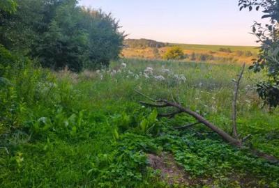 Casă cu 2 camere cu Teren 3500 Mp în Negostina - 2