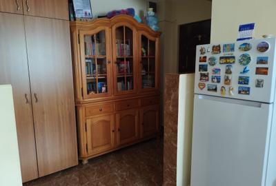 Apartament 2 camere Lipovei-Iulius Town - 8