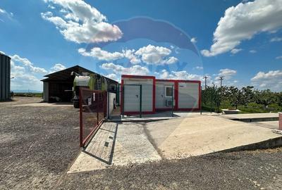 Spațiu industrial, de 5,000 mp, în Tișița - 19