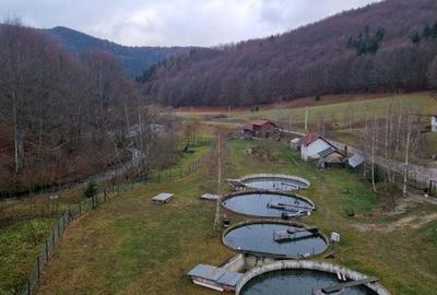 Casă cu 2 camere decomandat în Buzăiel - 2