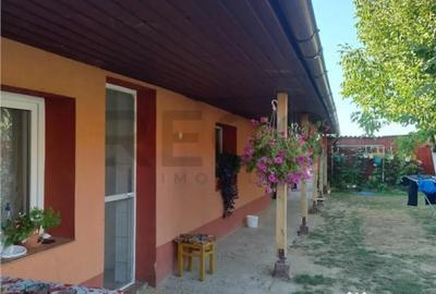 Casă cu 3 camere cu Teren 3300 Mp în Felcheriu - 18
