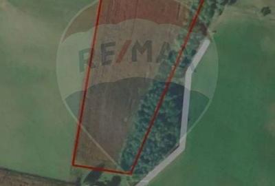 Teren de vanzare extravilan 17.882 mp/ Agnita - 2