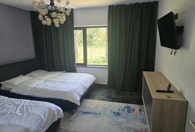 Casă cu 4 camere cu Teren 1500 Mp în Valea Doftanei - 12