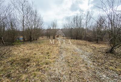 Teren extravilan de 2200 mp, în Calea Poplăcii - 3